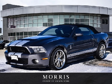 2010 Ford Mustang Shelby GT500