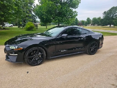 2018 Ford Ford mustang Ecoboost Turbo Safetied finance Image# 1