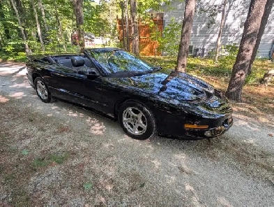 1996 Pontiac Trans Am Image# 1