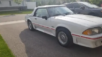 1989 Ford Mustang Image# 1