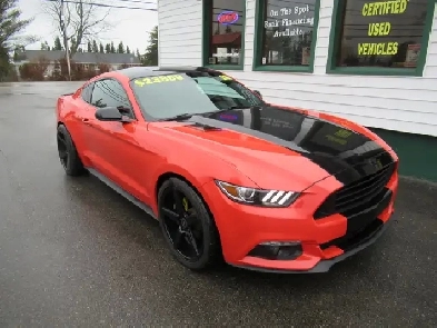 2015 Ford Mustang Ecoboost Premium | Heated and Cooled Leather | Image# 1