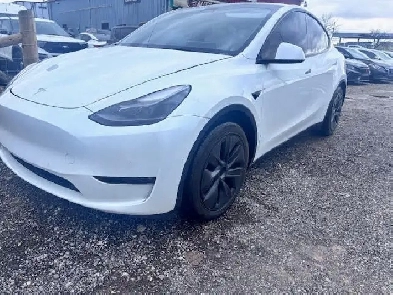 2021 Tesla Model Y Standard Range RWD Ltd Avail Image# 1