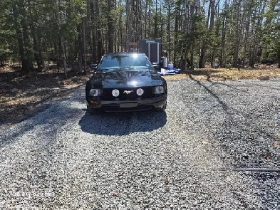 2005 mustang Image# 1