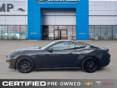 2024 Ford Mustang EcoBoost Premium  Nite Pony Pkg