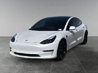 2022 Tesla Model 3 Performance / AWD Image# 1