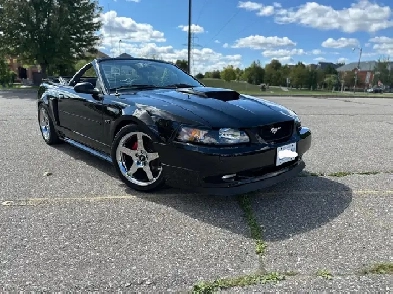 2003 Mustang GT Convertible Image# 1