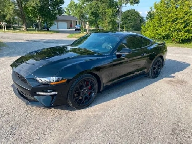 2018 MUSTANG  ONLY 77900 km  23 6spd man 19899 cert