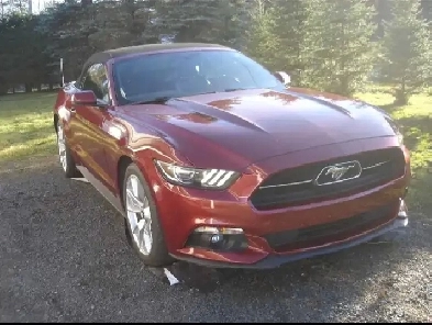 Mustang Convertible 2015