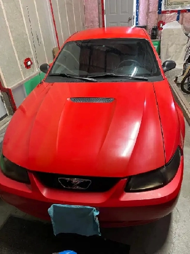 2000 Ford Mustang Image# 1