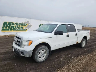 2014 Ford F-150 Image# 1