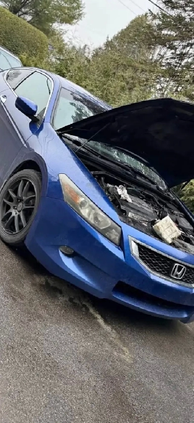 Cash for all the trash 647 4633467