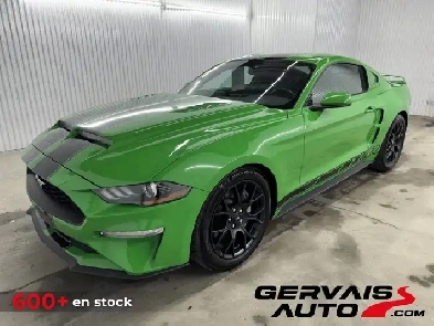 Ford Mustang EcoBoost 2019 à vendre Image# 1