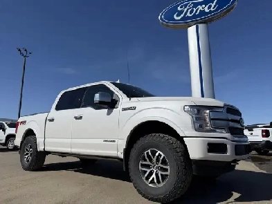 2019 Ford F-150 Platinum / 3.0L POWERSTOKE! / LEVELED! / LOADED! Image# 1