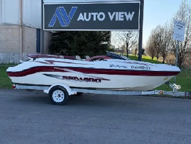 1999 Sea-Doo Challenger 1800 SUMMER READY Image# 1