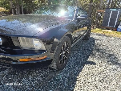 2005 mustang Image# 1