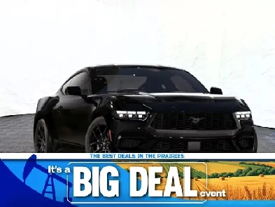 2026 Ford Mustang ECOBOOST PREMIUM  MUSTANG NITE PONY PACKAGE