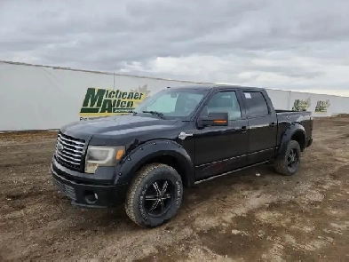 2010 Ford F-150 Image# 1
