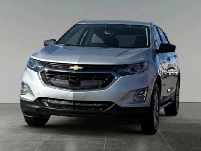 2020 Chevrolet Equinox LS Image# 1