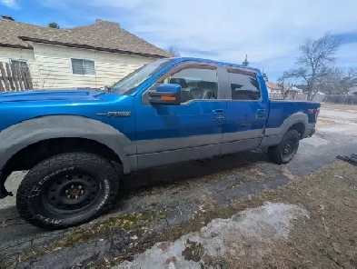 2009 Ford f150