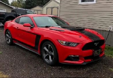 2015 Ford Mustang Image# 1