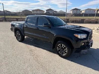 2020 Toyota Tacoma TRD Sport Manual V6 Image# 1