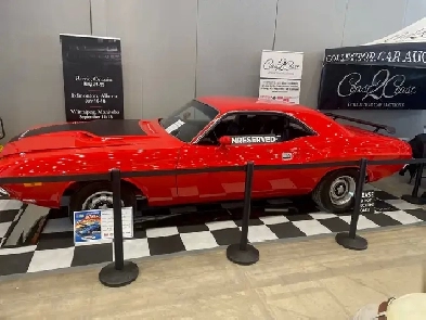 1974 Dodge Challenger Image# 1