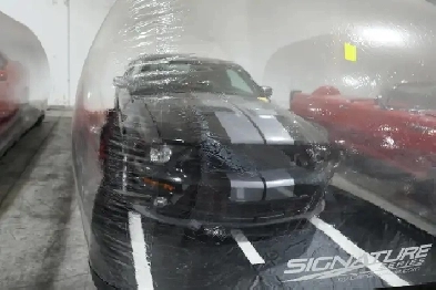 2007 Ford Shelby GT500 Image# 1