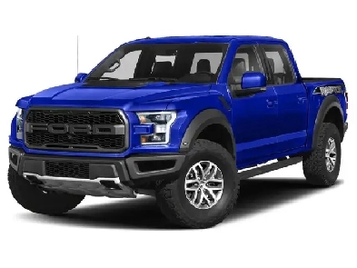 2019 Ford F-150 Raptor - No Accidents I Magnaflow I 360 Cam Image# 1