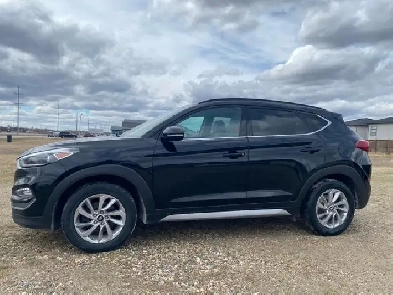 2017 Hyundai Tucson Image# 1
