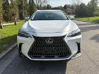 2022 Lexus NX250 Image# 1