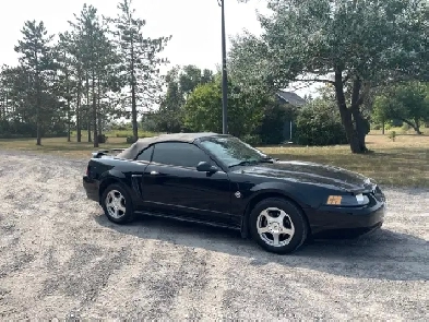 Ford Mustang for Sale Image# 1