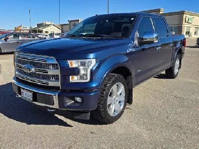 2017 F150 Platinum Image# 1