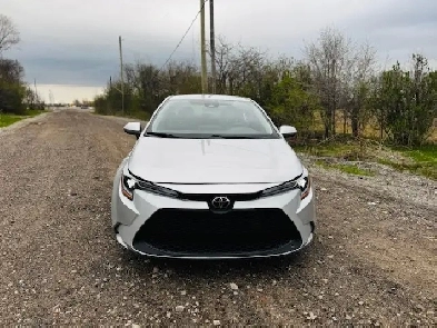 2020 Toyota Corolla LE CVT Image# 1