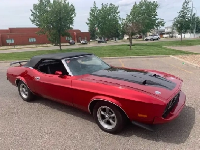 1973 Mustang Convertible Image# 1