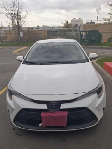 Toyota Corolla LE Image# 1