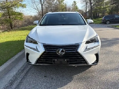 2018 Lexus NX300 Image# 1