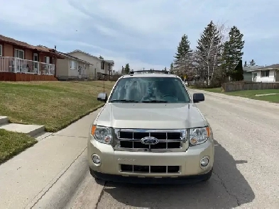 2012 Ford Escape XLT LTD Image# 1