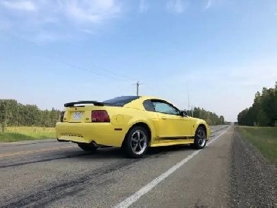 2003 Mustang Mach 1