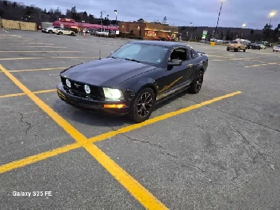 2005 Ford Mustang Image# 1