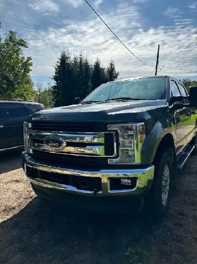 2019 f250 super duty Image# 1