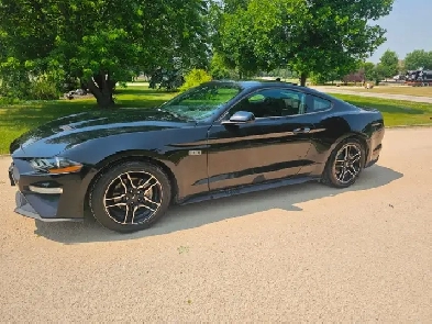 2020 Ford Mustang Ecoboost Turbo Safetied Finance Available