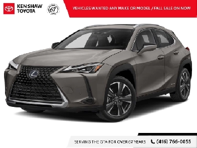 2020 Lexus UX 250h