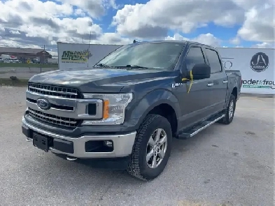 2019 Ford F-150 Image# 1