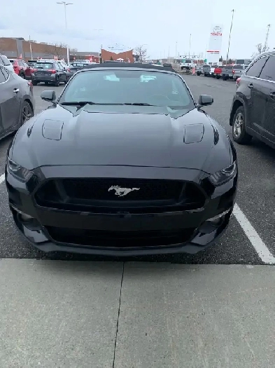 Ford mustang gt 2015 convertible