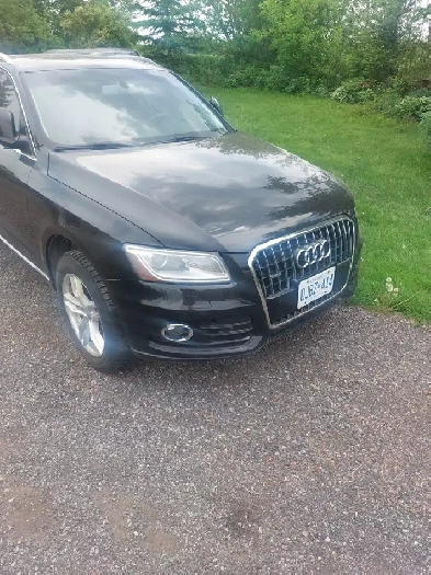 Audi Q5 excellent shape!