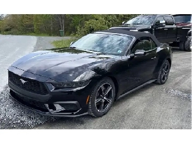 2025 Ford Mustang ECOBOOST PREMIUM CONVERTIBLE CUIR CAMÉRA RECUL