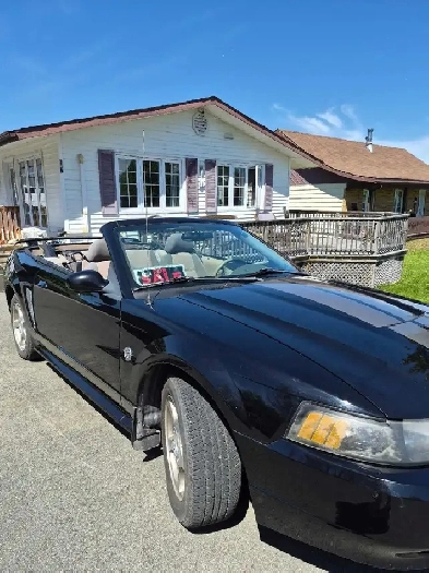 2004 Mustang