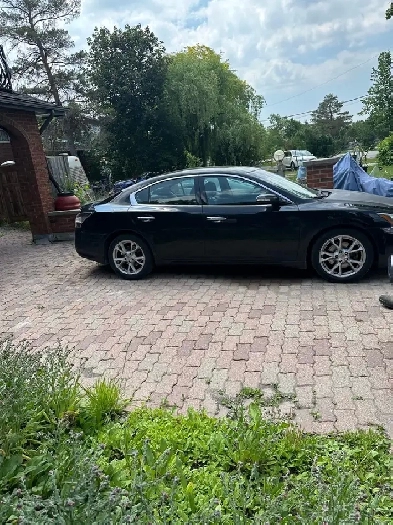 Certified 2014 Maxima