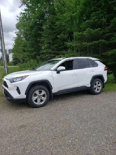 2020 Toyota Rav 4  LE Hybrid