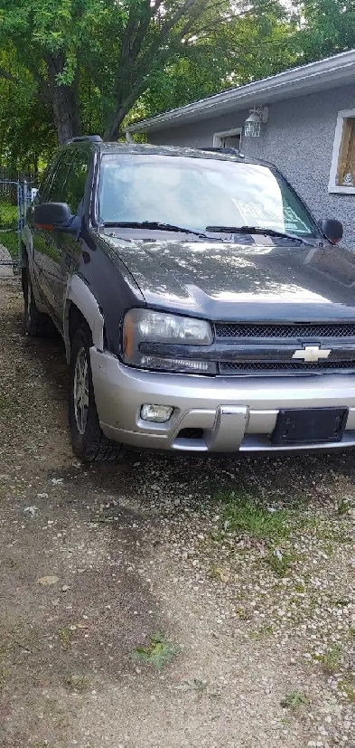 2006 Chevy Trailblazer